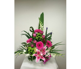 FM0066(FROM 